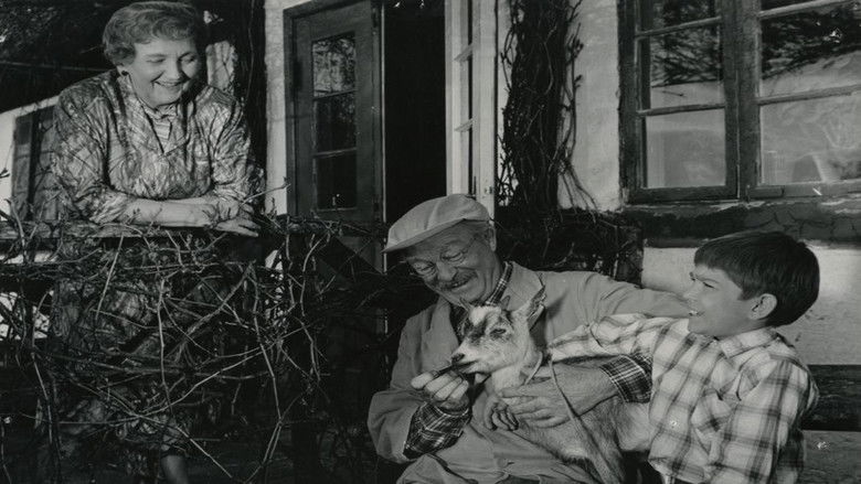 кадр из фильма Den rige enke