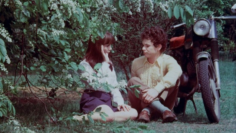 кадр из фильма Josefine - das liebestolle Kätzchen