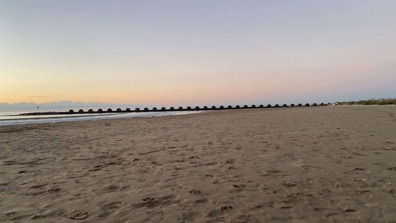 кадр из фильма Nerida