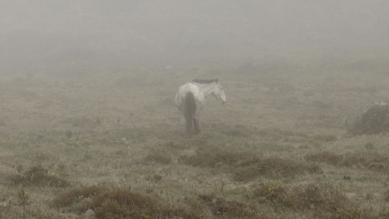 кадр из фильма Laguna negra