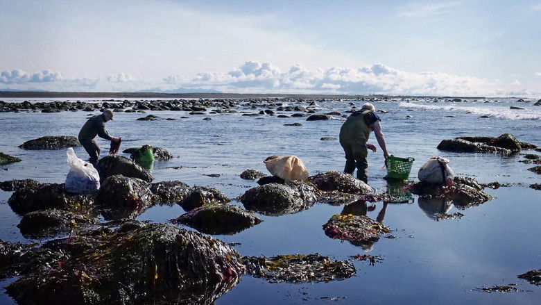 кадр из фильма Gósenlandið - íslensk matarhefð og matarsaga
