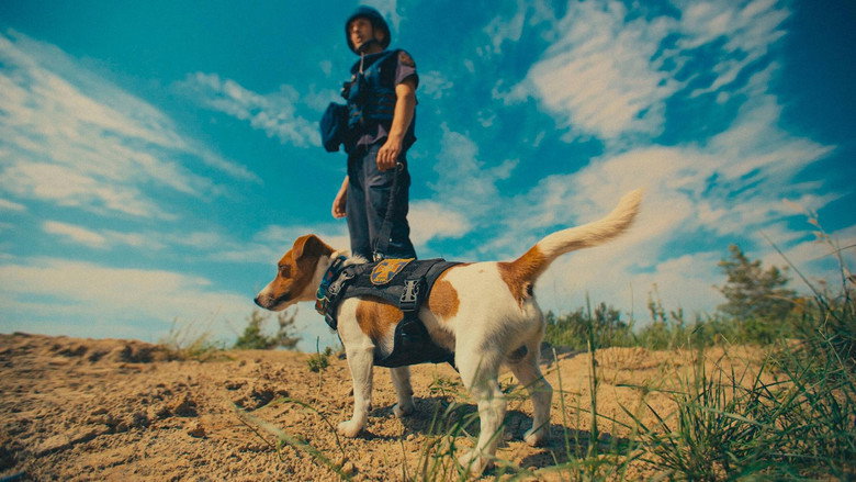 Saving the Animals of Ukraine