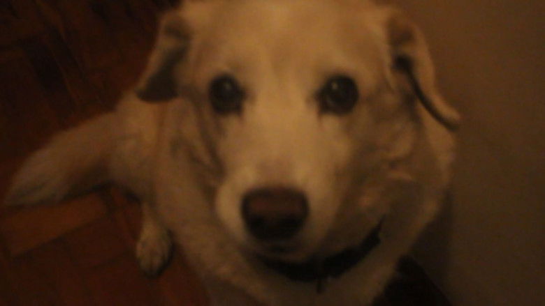 кадр из фильма Miranda: Natureza Maligna 2