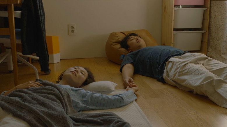 кадр из фильма 소피의 세계