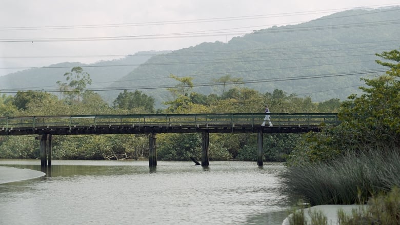 кадр из фильма Mangue-Branco