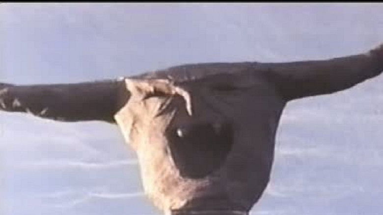 кадр из фильма The Final Sacrifice