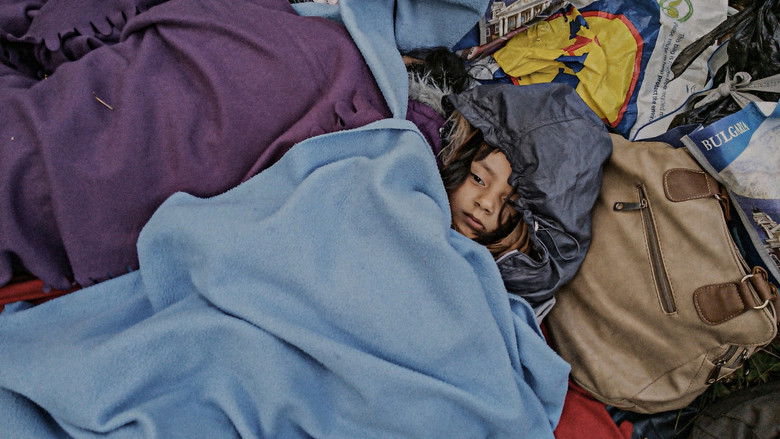 кадр из фильма Полночный путник