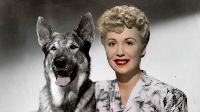 кадр из фильма The Return of Rin Tin Tin
