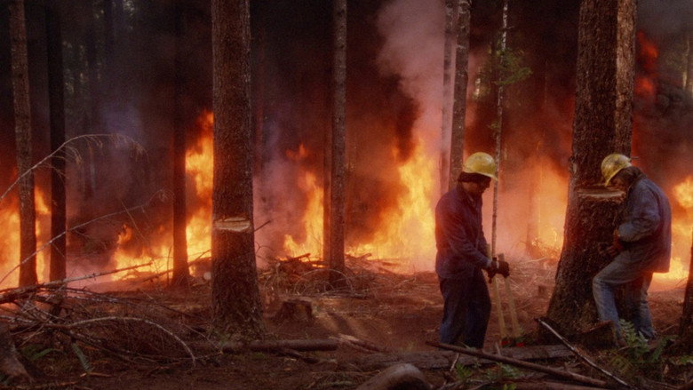 кадр из фильма Fire!