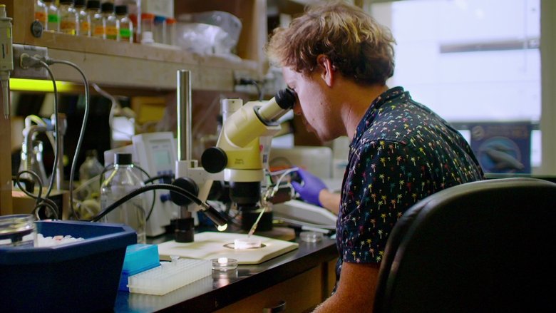 кадр из фильма Человеческая натура