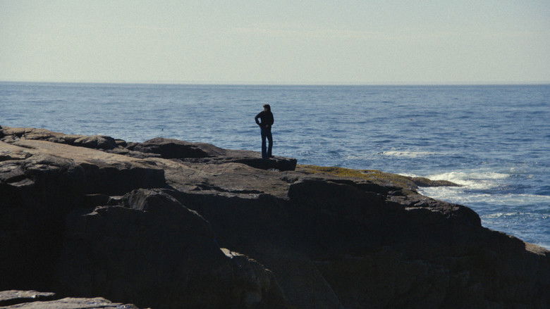 кадр из фильма Drifts