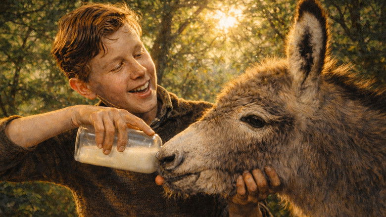 кадр из фильма Tim Driscoll's Donkey