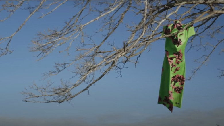 кадр из фильма El Affaire Miu Miu