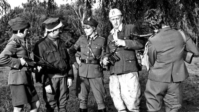 кадр из фильма Девичий заговор