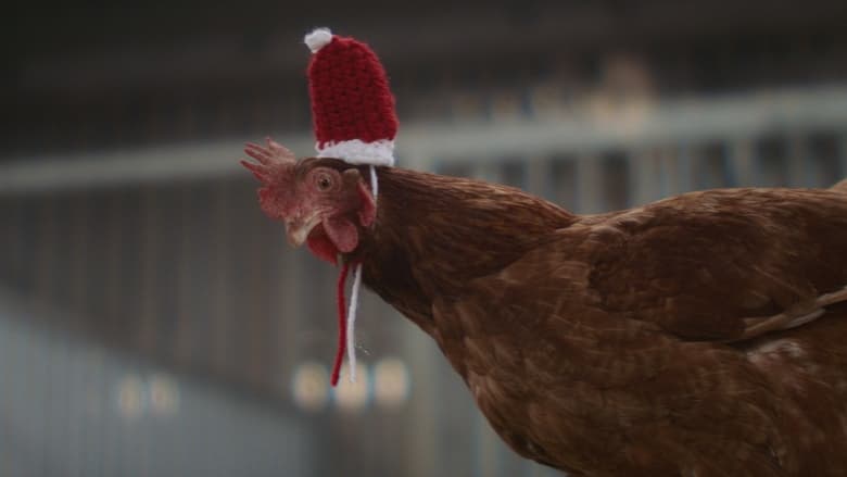 кадр из фильма Пернатое рождество