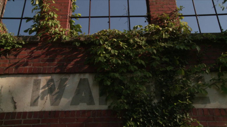 кадр из фильма The Curse and the Jubilee