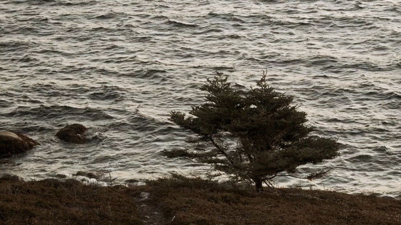 кадр из фильма The Brym