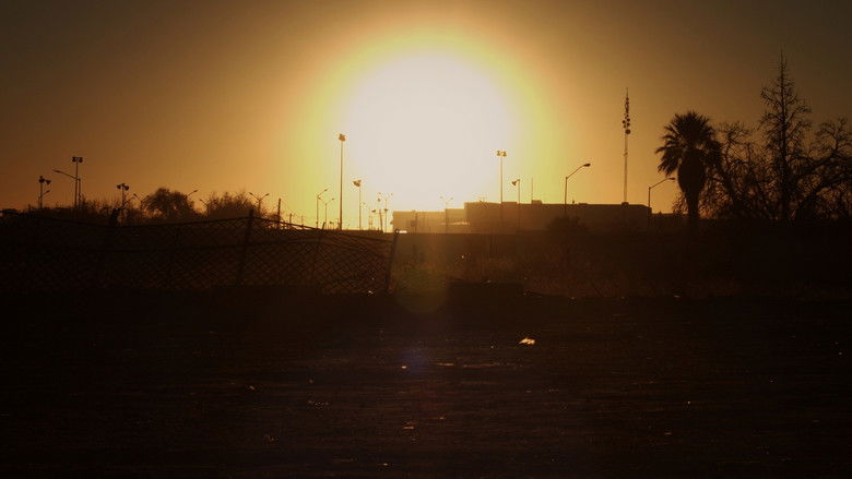 кадр из фильма Libélula