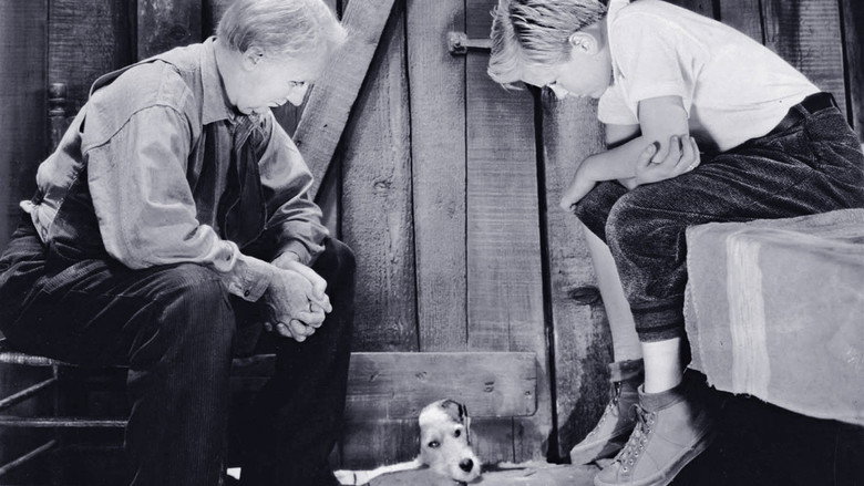 кадр из фильма Peck's Bad Boy