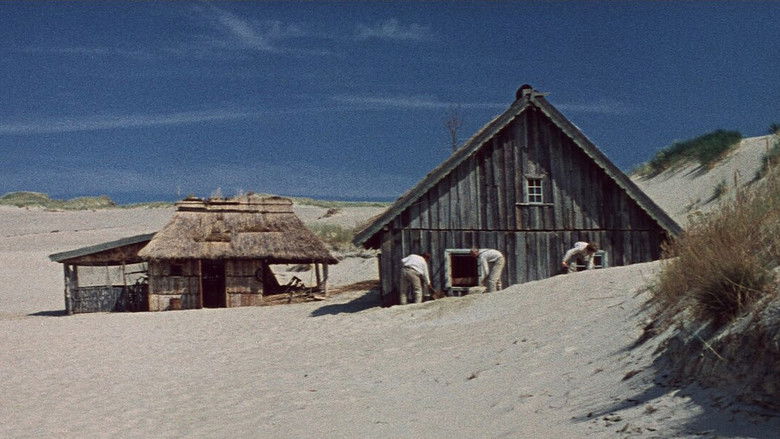 кадр из фильма Женщина и четверо её мужчин