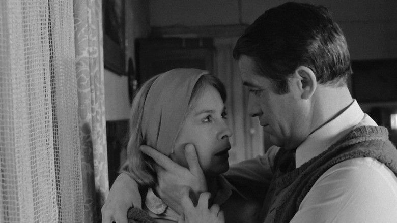 кадр из фильма Matka Królów