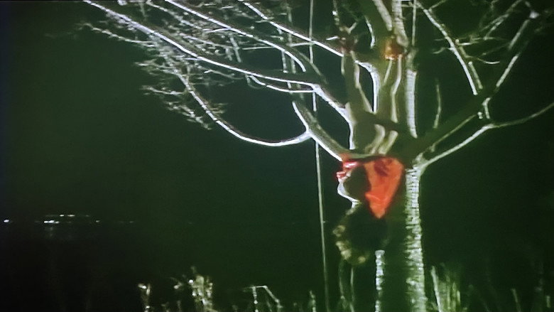 кадр из фильма ザ・必殺レイプマン１　淫獣狩り