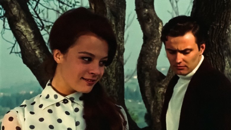 кадр из фильма Hıçkırık