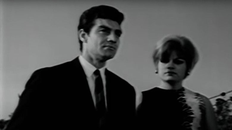 кадр из фильма Artık Düşman Değiliz