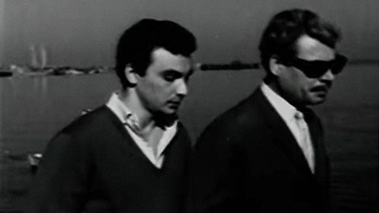 кадр из фильма Artık Düşman Değiliz