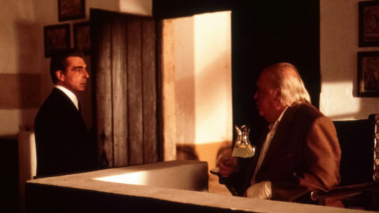 кадр из фильма Peixe-Lua