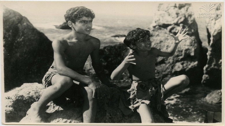 кадр из фильма Зуб акулы