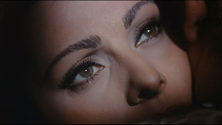 кадр из фильма Падение Римской империи