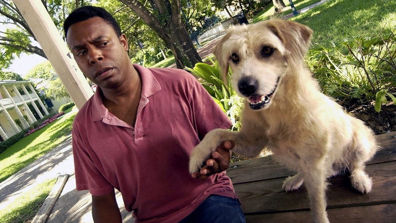 кадр из фильма Lenny The Wonder Dog