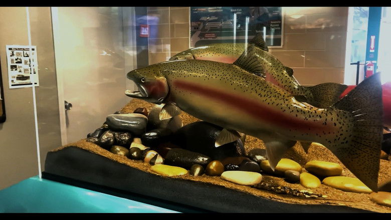 кадр из фильма The Snake and the Whale