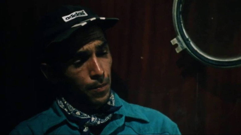 кадр из фильма Tornando a casa