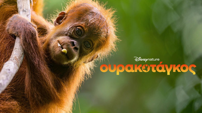 кадр из фильма Orangutan