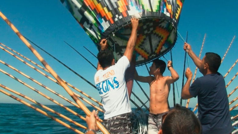 кадр из фильма Баломания: Секретная субкультура фавел