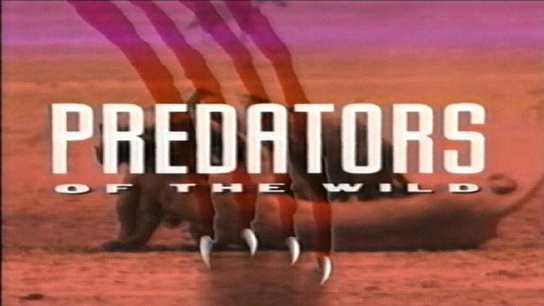 кадр из фильма Predators of the Wild: Giant Tarantula