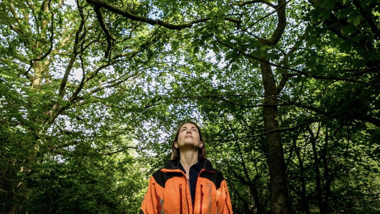 кадр из фильма The Arborist