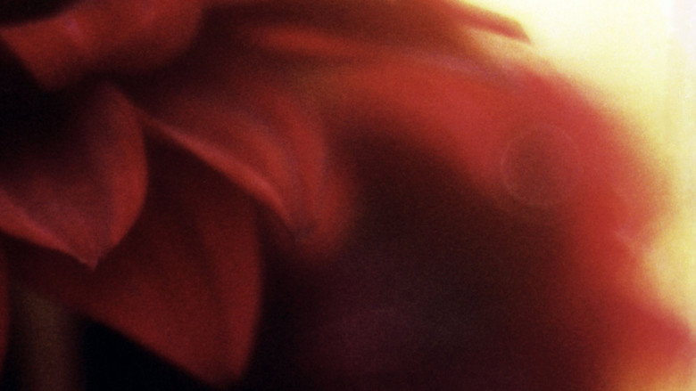 кадр из фильма Glide of Transparency