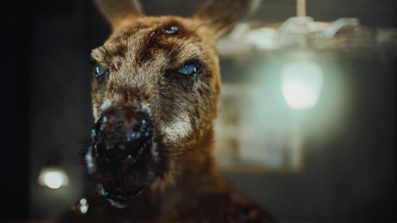 кадр из фильма Хищник. Дожить до рассвета