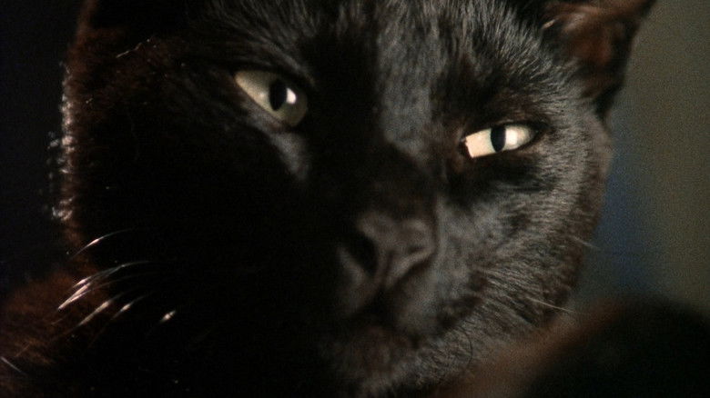 кадр из фильма Похороненный заживо