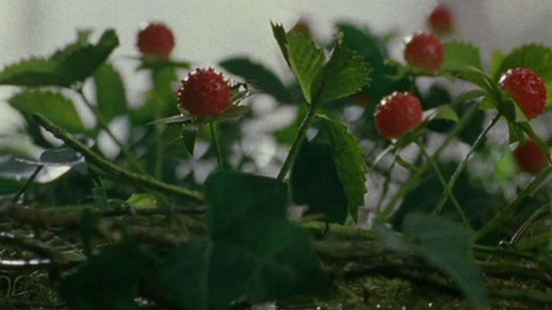кадр из фильма 蛇イチゴ