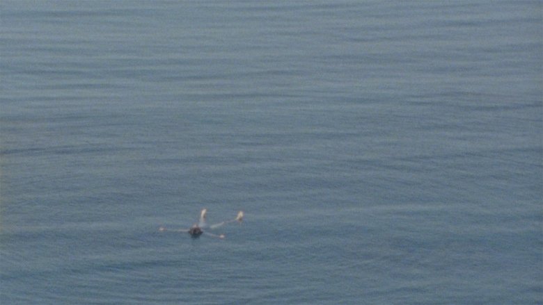 кадр из фильма 水子