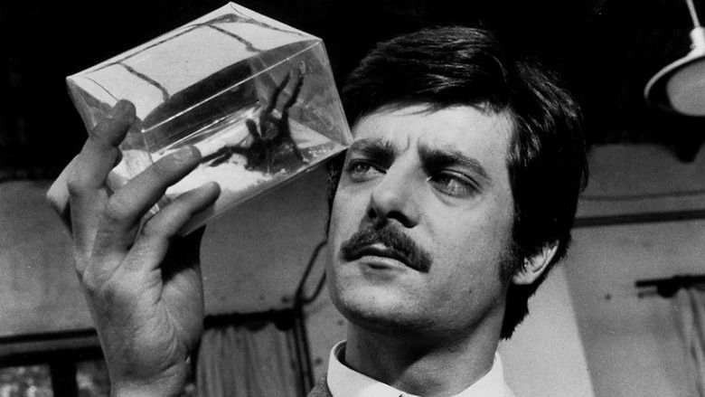 кадр из фильма La tarantola dal ventre nero