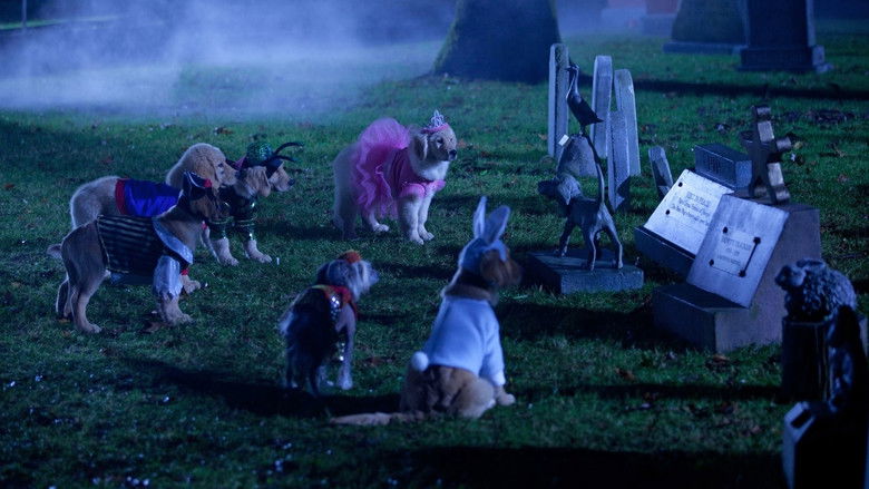 кадр из фильма Мистическая пятерка