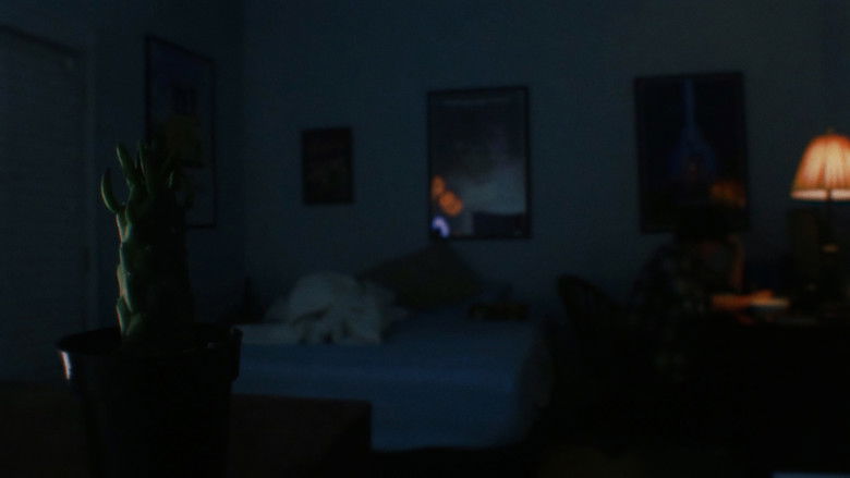 кадр из фильма The Cactus