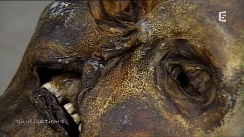 кадр из фильма NOVA: Iceman Reborn