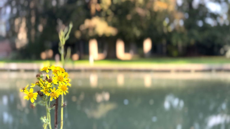 кадр из фильма Mouvements