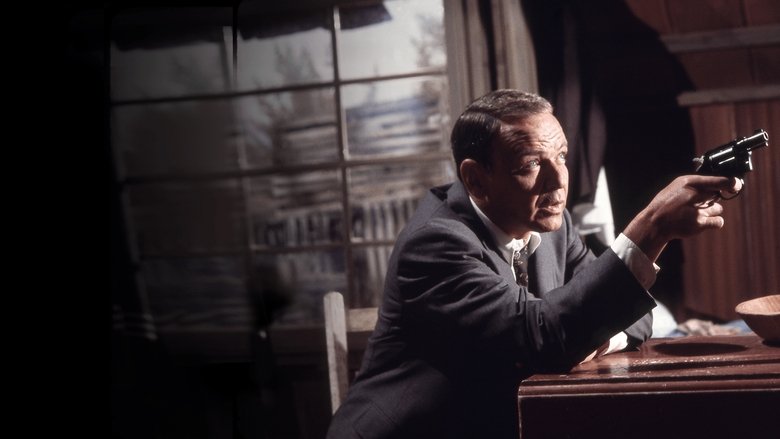 Девушка в цементе